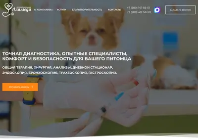 Снимок главной страницы alameda-vet.ru