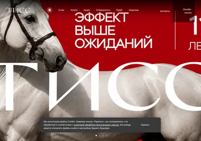 Снимок главной страницы centrtiss.ru