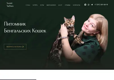 Снимок главной страницы bengalspb.ru