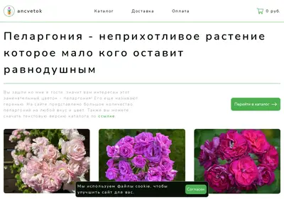 Снимок главной страницы ancvetok-new.ru