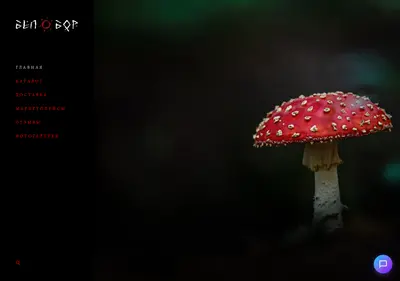Снимок главной страницы belobor.ru