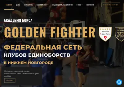 Снимок главной страницы boxingacademynn.ru