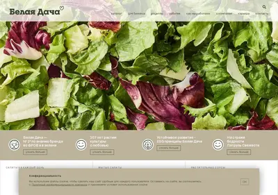 Снимок главной страницы bdsalads.ru