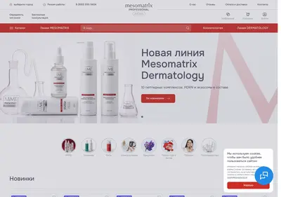 Снимок главной страницы ayna-spb.ru