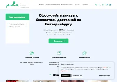 Снимок главной страницы akadem66.ru