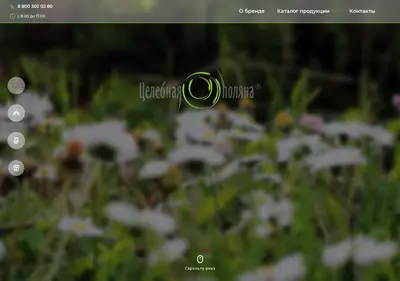 Снимок главной страницы celebnaya-polyana.ru