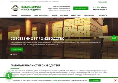 Снимок главной страницы 47stroyka.ru