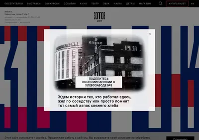 Снимок главной страницы centrezotov.ru