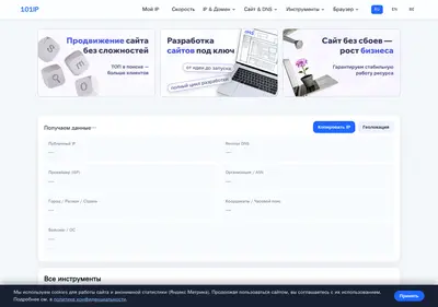 Снимок главной страницы 101ip.ru