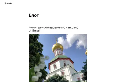 Снимок главной страницы bravido.ru