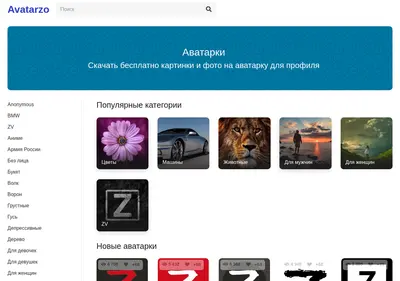 Снимок главной страницы avatarzo.ru
