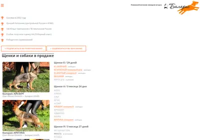 Снимок главной страницы balaris.ru