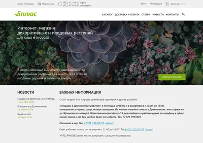 Снимок главной страницы 5plusroses.ru