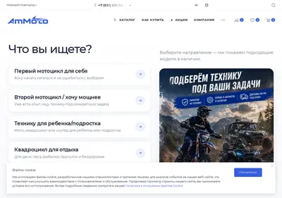 Снимок главной страницы ammoto.ru