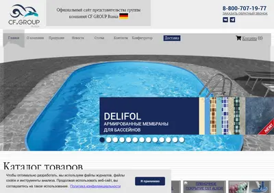 Снимок главной страницы chemoform.ru