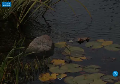 Снимок главной страницы bio-pond.ru
