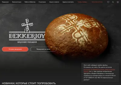 Снимок главной страницы bekkerjoy.ru