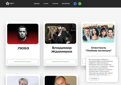 Снимок главной страницы забилетом.рф