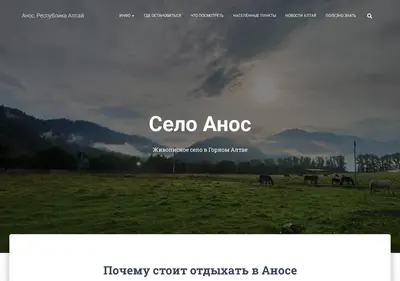 Снимок главной страницы ahoc.ru