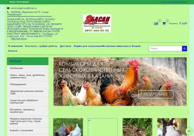 Снимок главной страницы basan16.ru
