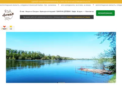 Снимок главной страницы bazales.ru