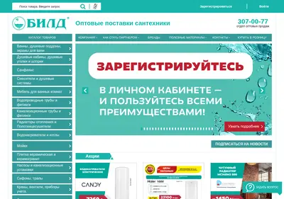 Снимок главной страницы bild.ru