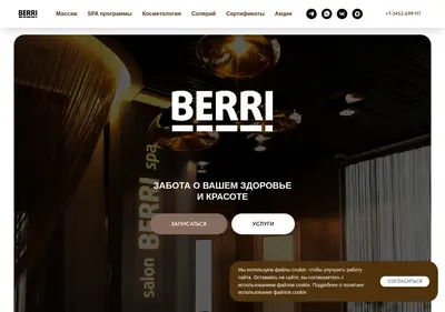 Снимок главной страницы berrispa.ru
