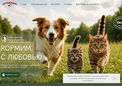 Снимок главной страницы agnyusha.ru