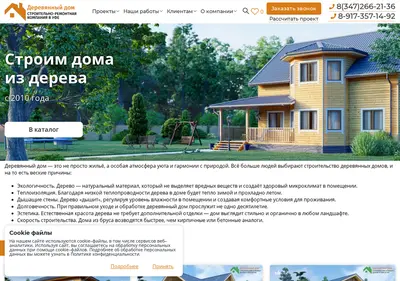 Снимок главной страницы brusidoska.ru
