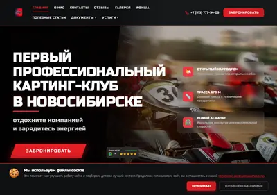 Снимок главной страницы aurora-karting.ru