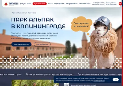 Снимок главной страницы alpakakld.ru