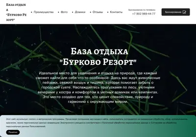 Снимок главной страницы burkovorezort.ru