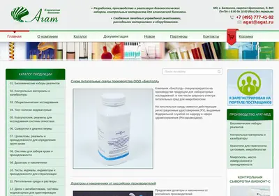 Снимок главной страницы agat.ru