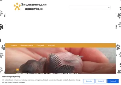 Снимок главной страницы animalsglobe.ru
