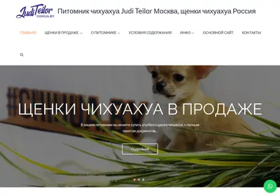Снимок главной страницы chihua-puppy.ru