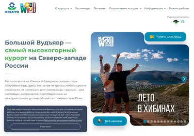 Снимок главной страницы bigwood.ru