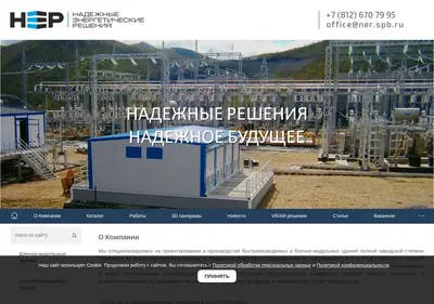 Снимок главной страницы ner.spb.ru