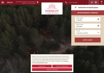 Снимок главной страницы brubereg.ru