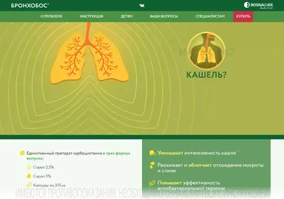 Снимок главной страницы bronhobos.ru