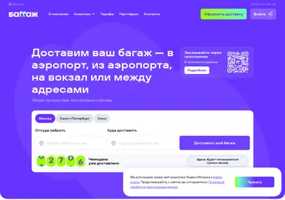 Снимок главной страницы baggage.ru