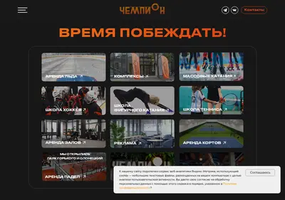 Снимок главной страницы arenachampion.ru