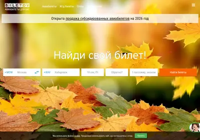 Снимок главной страницы biletdv.ru