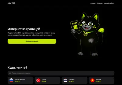 Снимок главной страницы esimtg.su