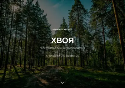 Снимок главной страницы chvoya-glamp.ru