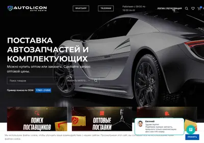 Снимок главной страницы autolicon.ru