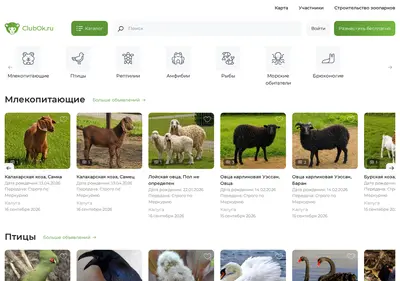 Снимок главной страницы clubok.ru