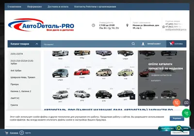 Снимок главной страницы autodetal-pro.ru