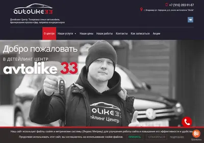 Снимок главной страницы avtolike33.ru