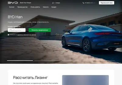 Снимок главной страницы byd-samara.ru