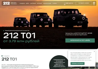 Снимок главной страницы 212nsk.ru